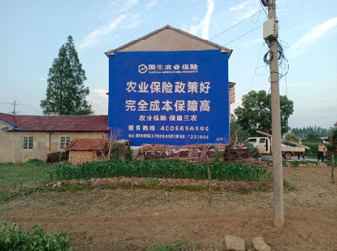 南川墙体广告为何受追捧?